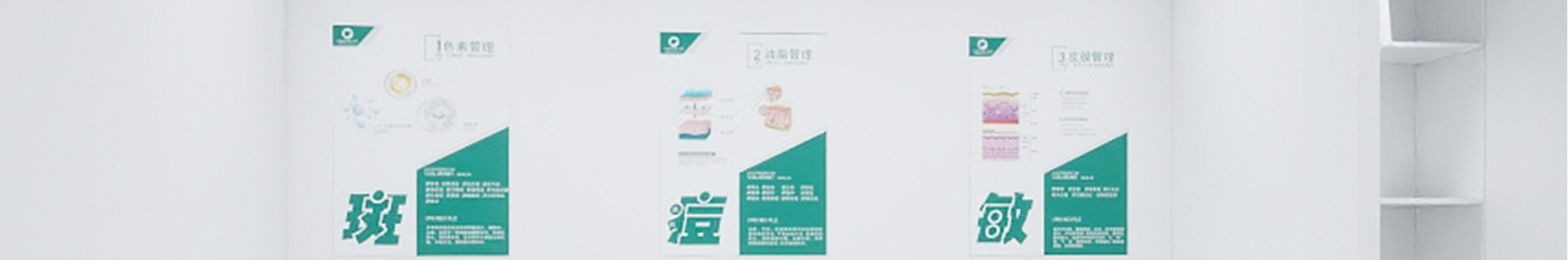 科茵特招商加盟